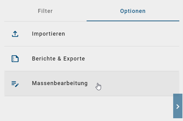 Der Screenshot zeigt die Option "Massenbearbeitung" in den Optionen der Diagrammansicht.