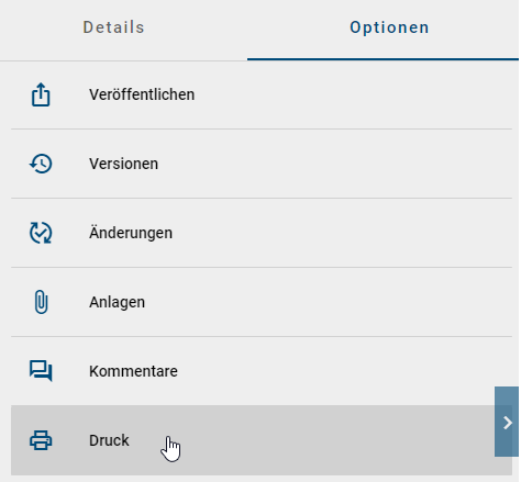 Der Screenshot zeigt die Selektion "Druck" in den Optionen eines Diagramms.