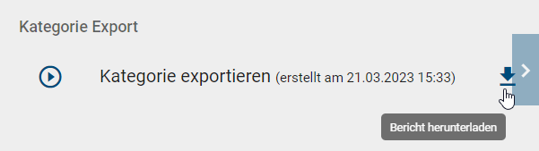 Der Screenshot zeigt den "Bericht herunterladen" Button im Optionsbereich neben der Option "Kategorie exportieren".