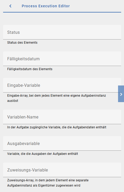 Der Screenshot zeigt die Eingabemöglichkeit für eine Mehrfach-Instanz-Aktivität im Process Execution Editor.