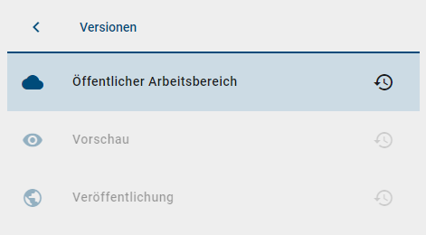 Hier wird die Versionenleiste gezeigt, wobei "Öffentlicher Arbeitsbereich" auswählbar und "Vorschau" sowie "Veröffentlichung" ausgegraut sind.