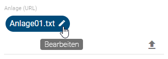 Dieser Screenshot zeigt die "Bearbeiten" Funktion von Anlagen (URL).