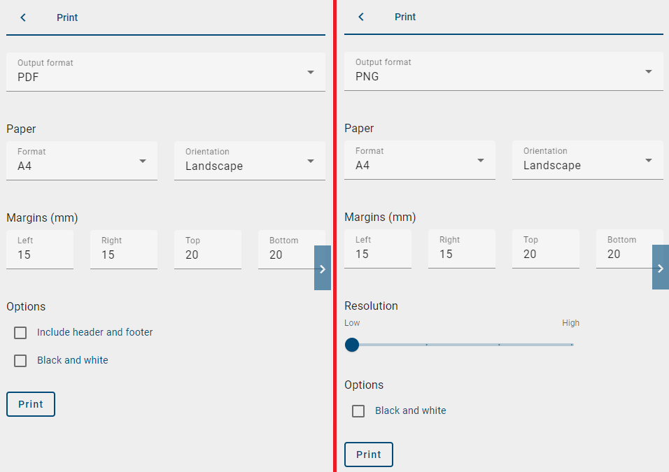 The screenshot shows the settings options and the "Print" button in the print preview.