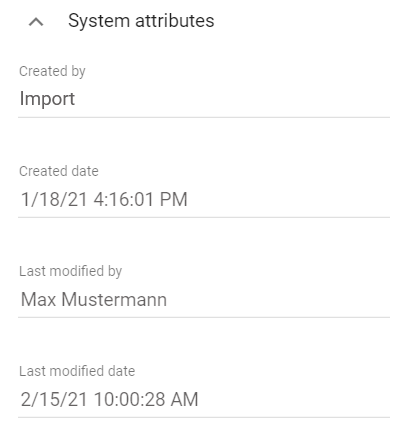 This screenshot shows an example of system attributes of a diagram.