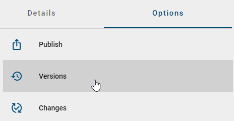 This screenshots illustrates the entry "Versions" in the options of a diagram.