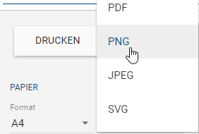 Der Screenshot zeigt die verschiedenen Auswahlmöglichkeiten für das Druckformat.