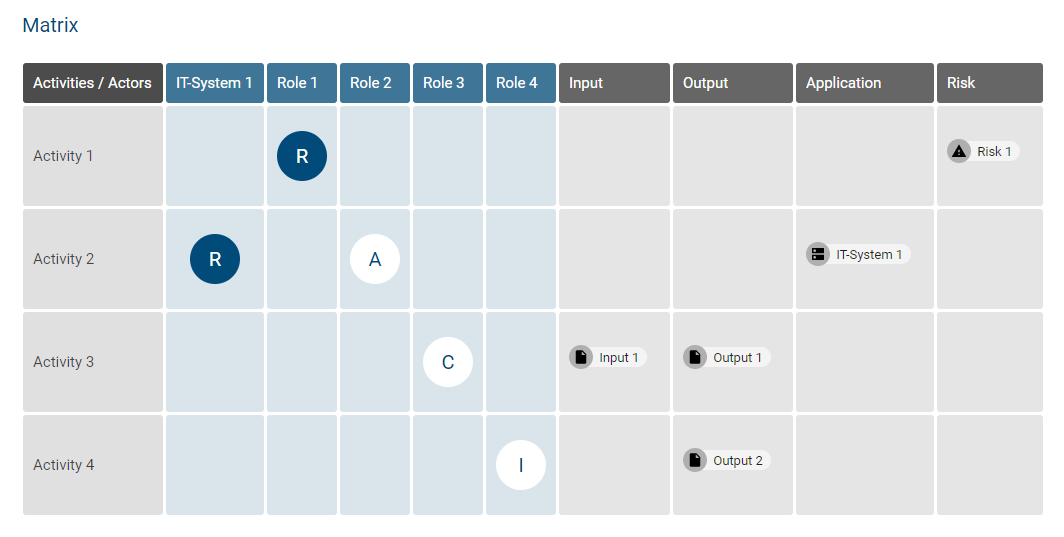 The screenshot shows the RACI matrix.