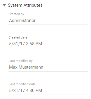 This screenshot shows an example of system attributes of a diagram.